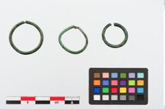 Foto von Bronzering (NHMW-PRAE-024306)